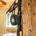 Siedlisko