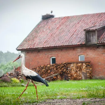 Siedlisko בית אירוח